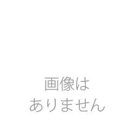 エース芯糸　太(20/9)500m　　取り寄せ品