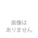 エッジサーフェイサー　500cc　取り寄せ商品